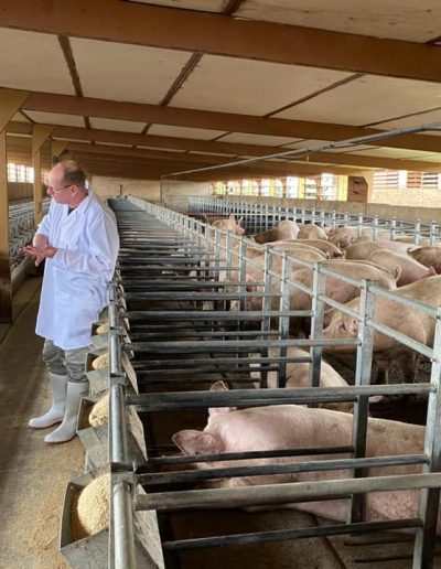 Philip van den Brink our confidant and partner will be visiting us in SA from the Netherlands for the next three months sharing his know-how and experience gathered over the last 30 years in the swine industry. Here he is already working on day 1.