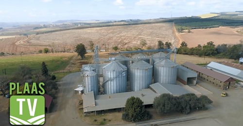 SwiNE Nutrition Management, pig nutritionists, pig feeding programs, SwiNE
