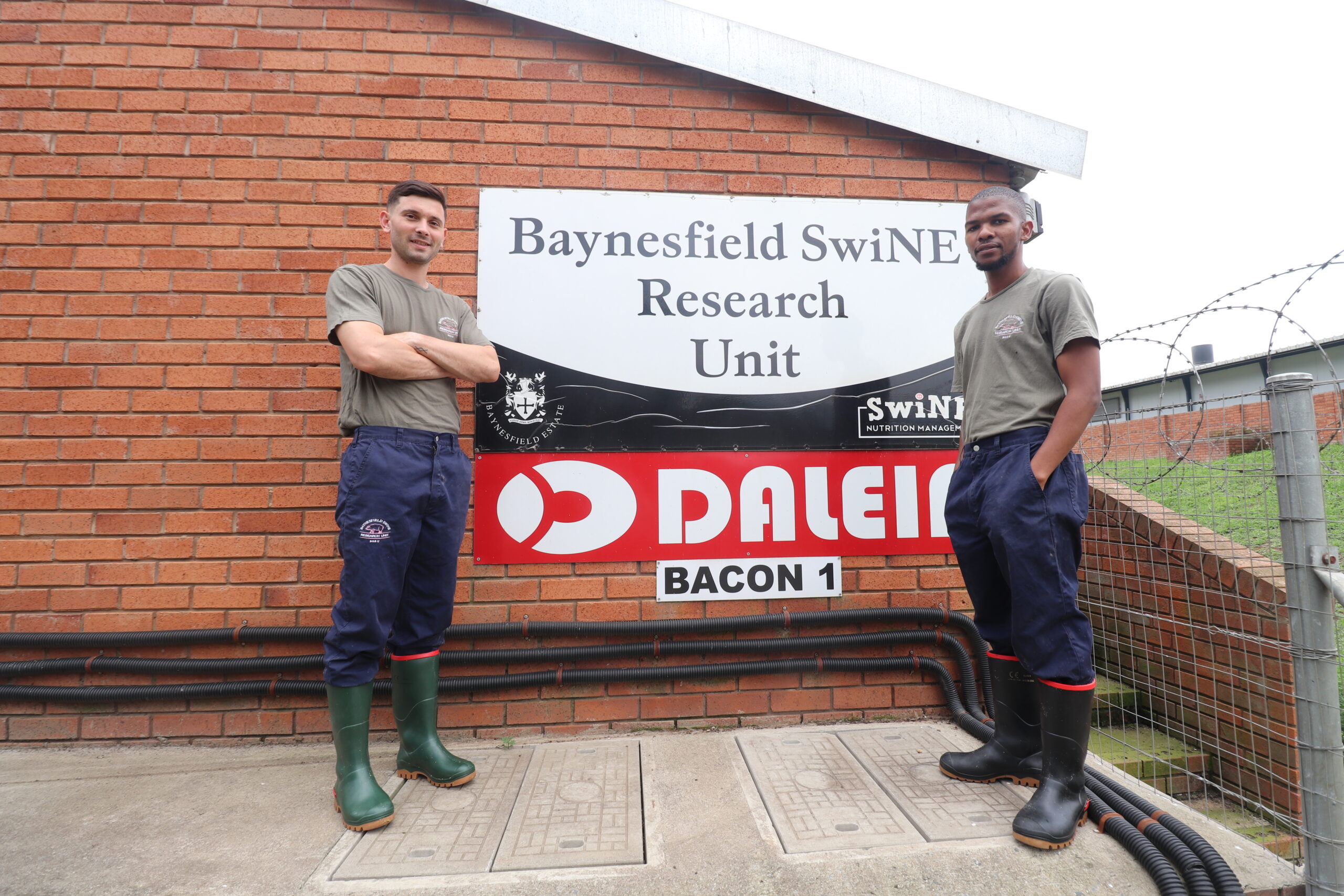 SwiNE Nutrition Management, pig nutritionists, pig feeding programs, SwiNE